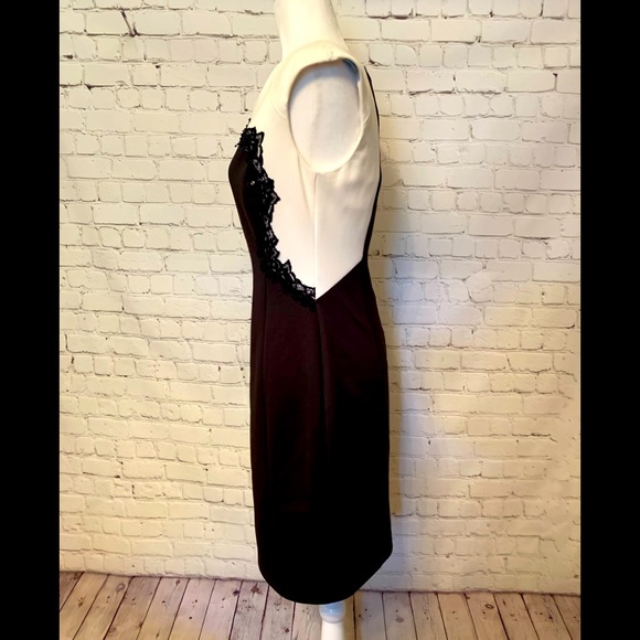 Beautiful tailored dress with Lace inset size 8 - Picture 3 of 8